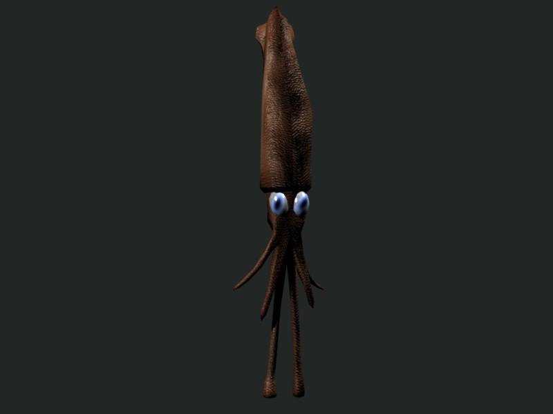 Squid Rigged &amp; Animated  preview image 1